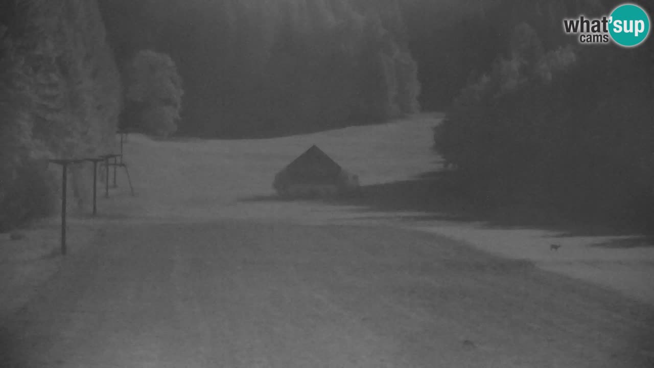 RTC Kranjska Gora | Velika Dolina
