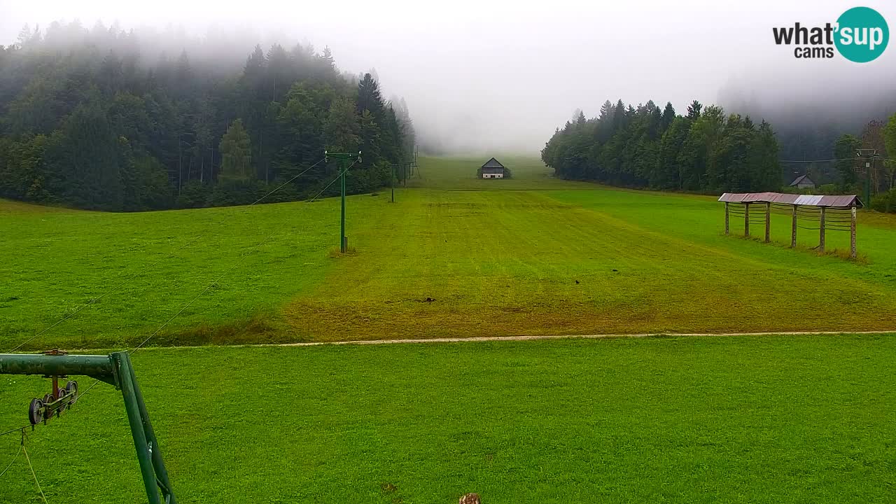 Estación de esquí Kranjska Gora | Velika Dolina