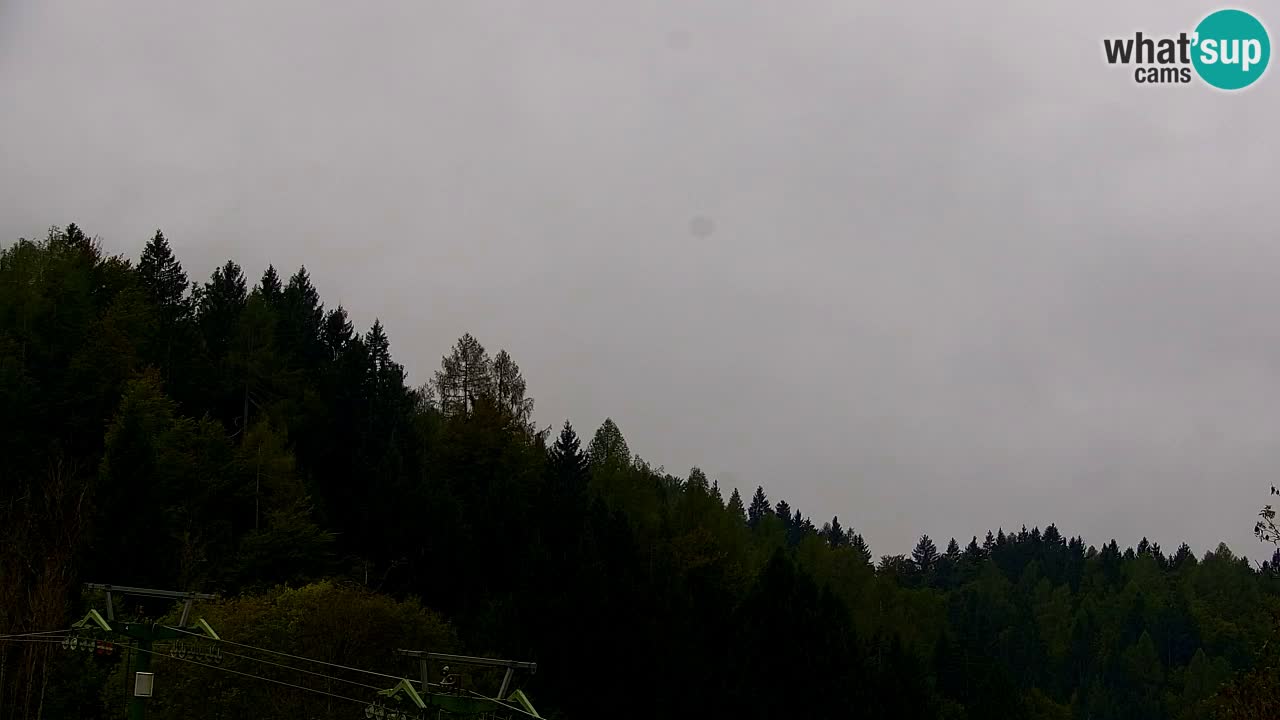 Skigebiet Kranjska Gora | Velika Dolina