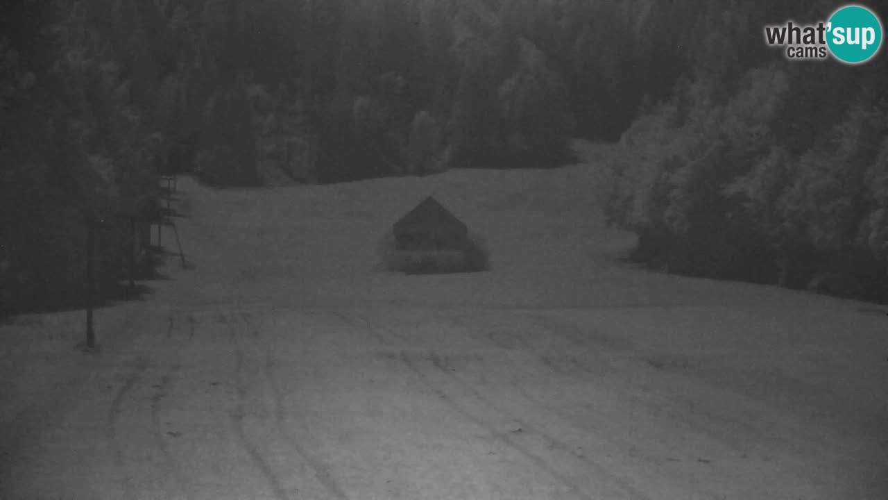 Kranjska Gora | Velika Dolina