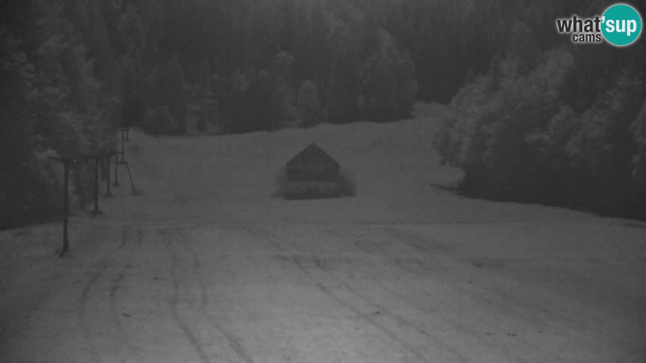 Ski Kranjska Gora | Velika Dolina