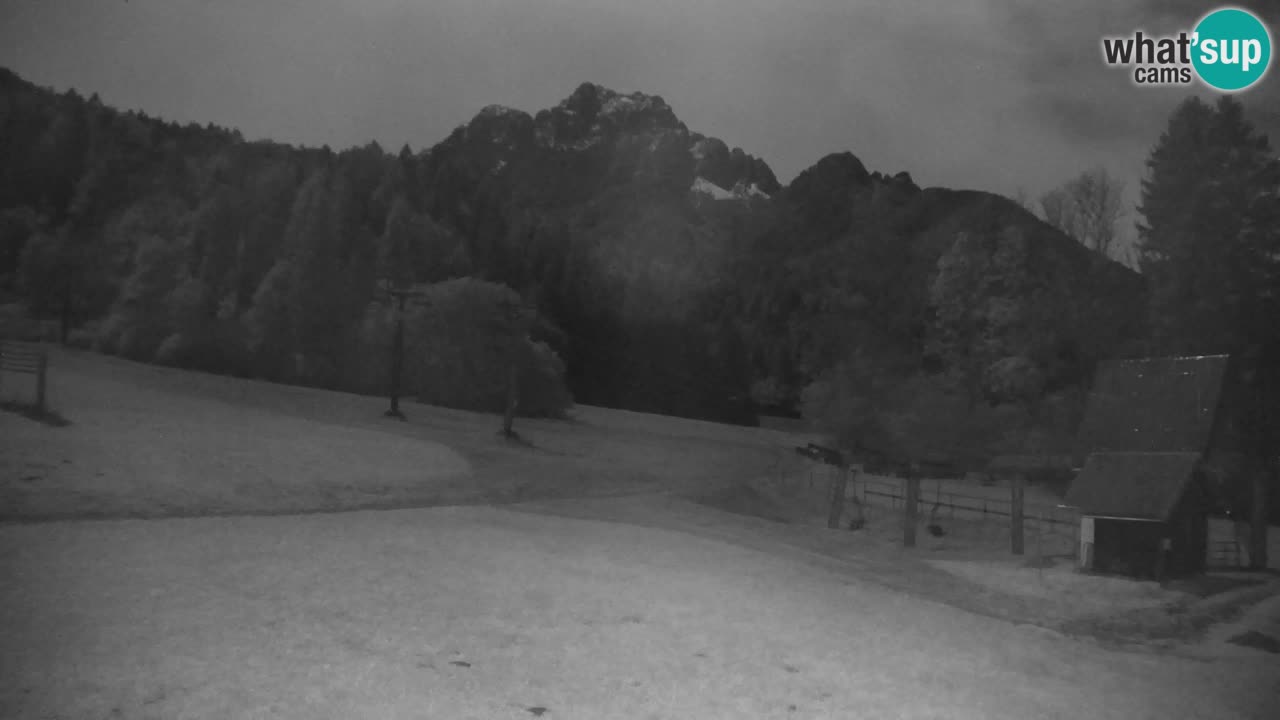 Ski Kranjska Gora | Velika Dolina