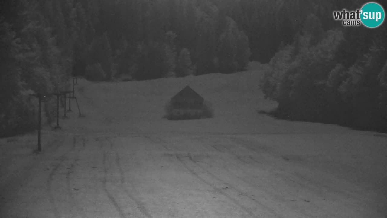 Ski Kranjska Gora | Velika Dolina