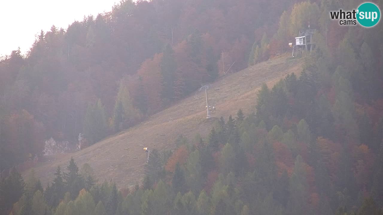 Ski Kranjska Gora | Velika Dolina