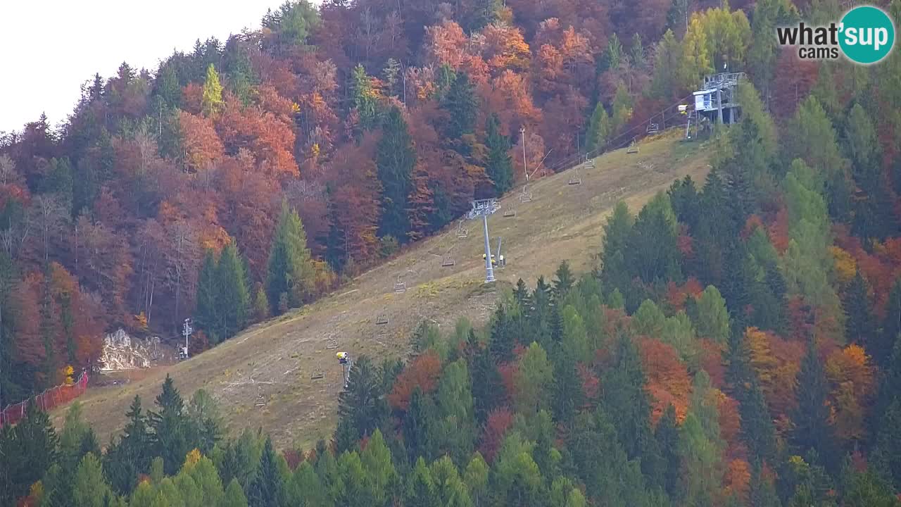 Estación de esquí Kranjska Gora | Velika Dolina