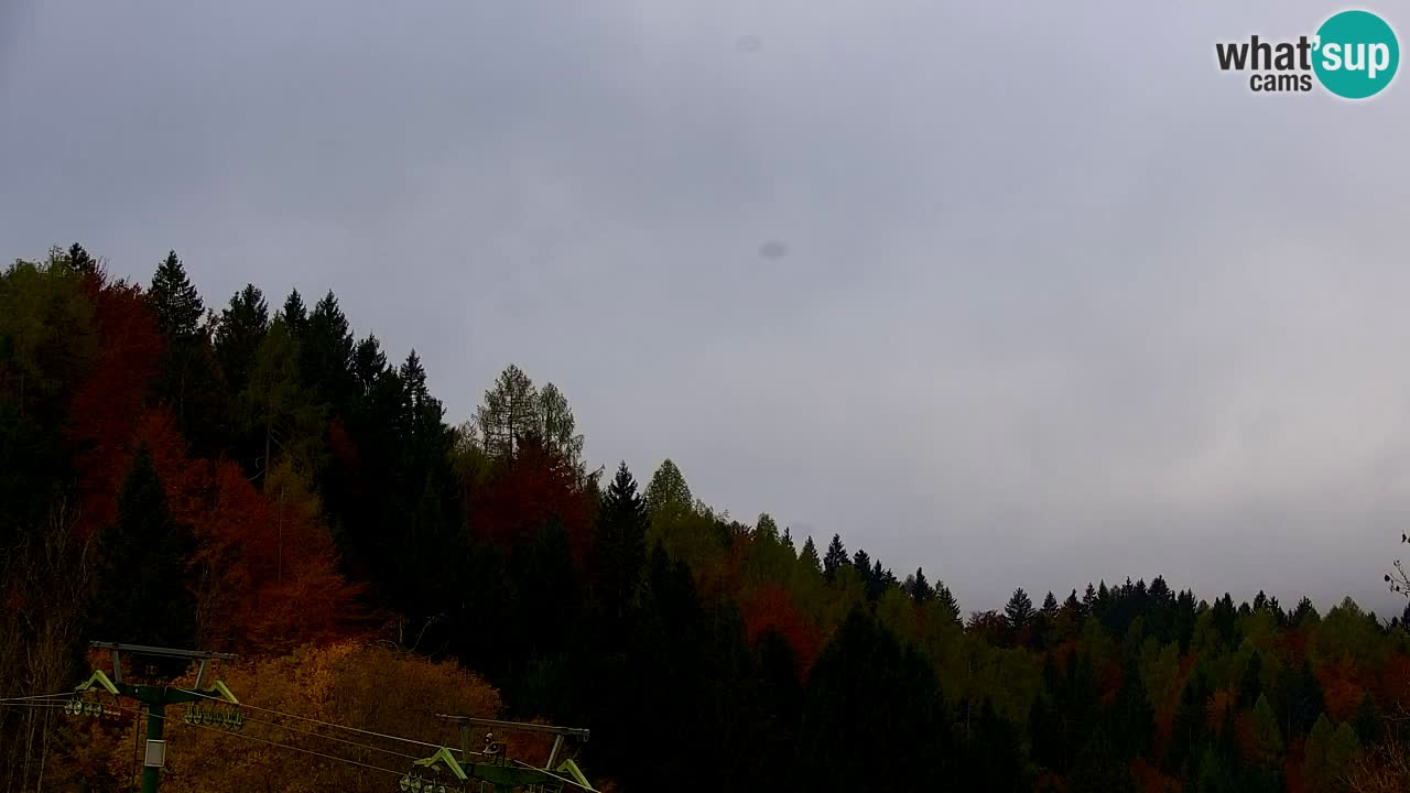 Skigebiet Kranjska Gora | Velika Dolina