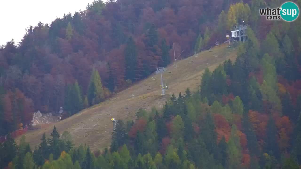 RTC Kranjska Gora | Velika Dolina
