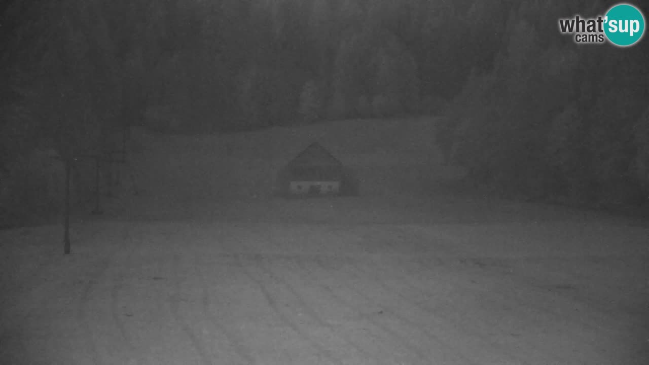 Skigebiet Kranjska Gora | Velika Dolina