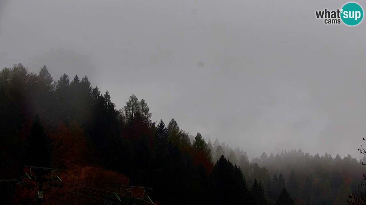 Ski Kranjska Gora | Velika Dolina