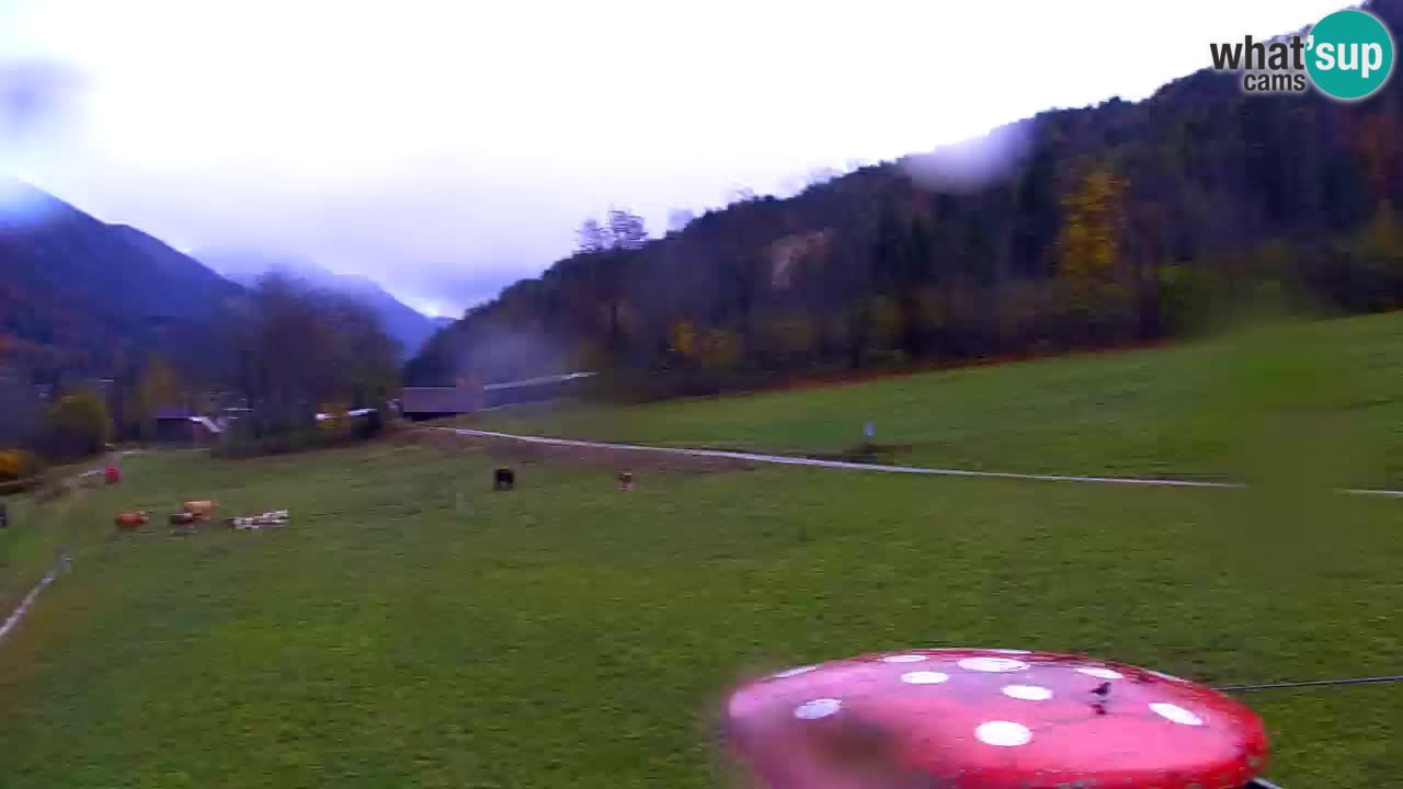 RTC Kranjska Gora | Velika Dolina