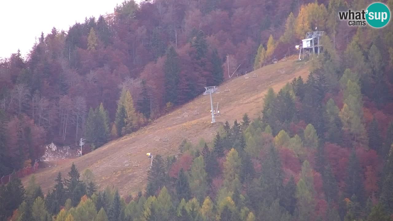 Ski Kranjska Gora | Velika Dolina