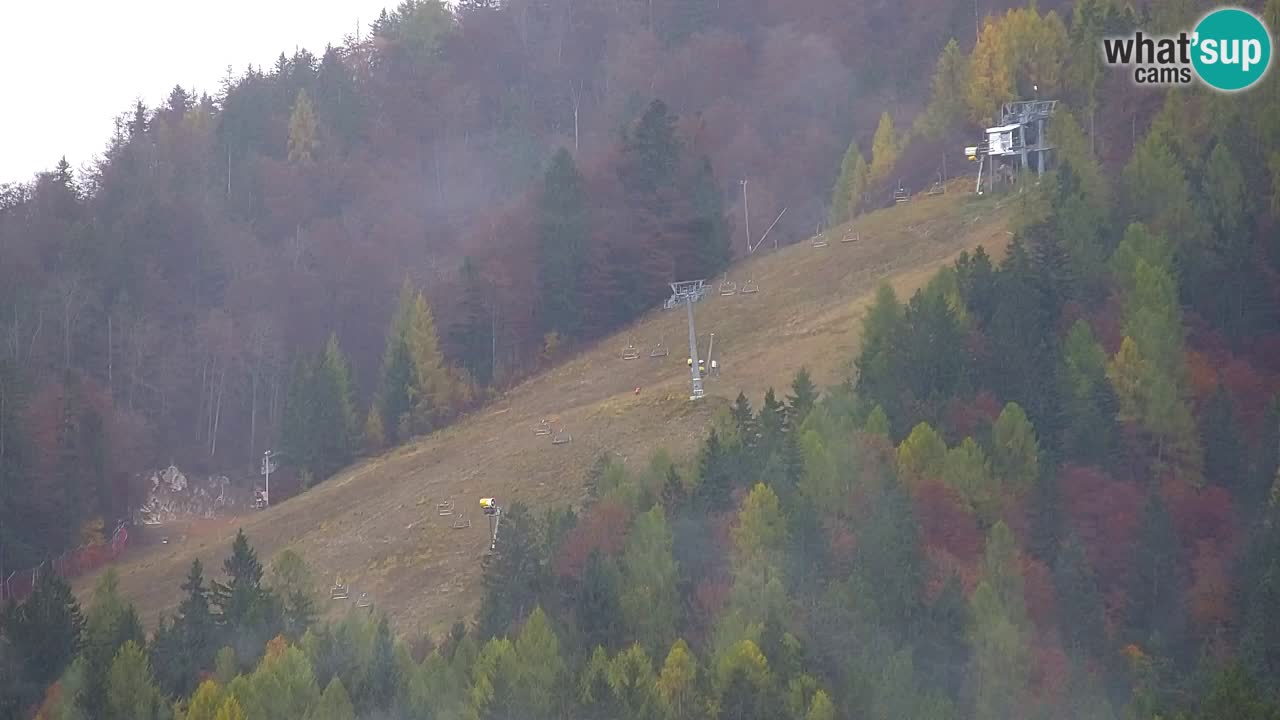 Estación de esquí Kranjska Gora | Velika Dolina