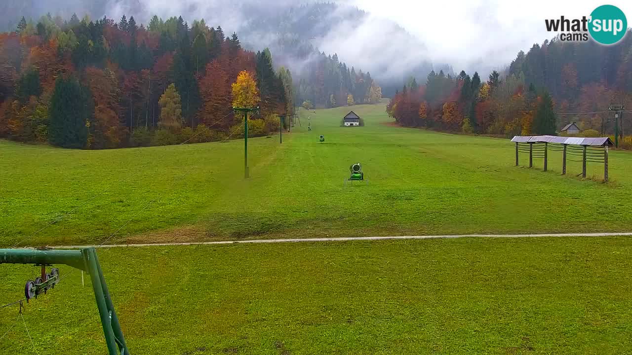 Ski Kranjska Gora | Velika Dolina