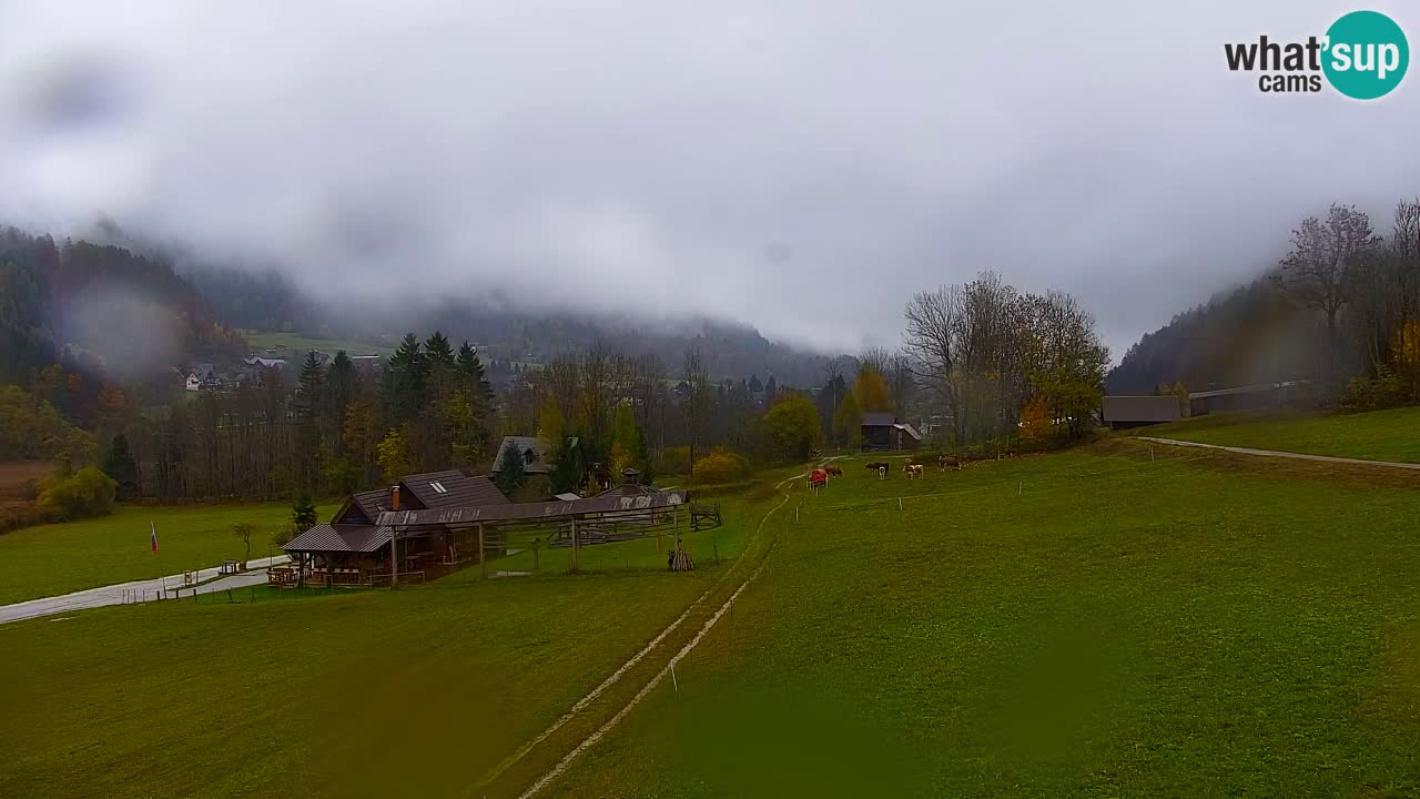 Estación de esquí Kranjska Gora | Velika Dolina