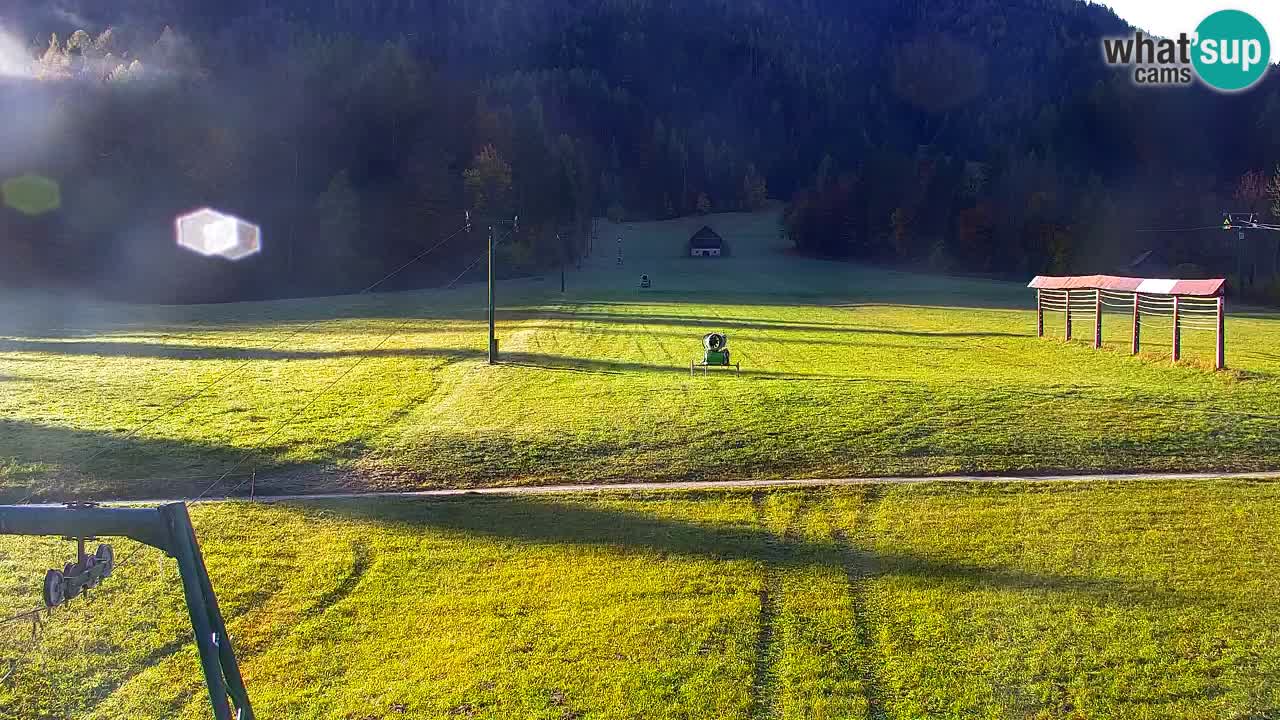 Ski Kranjska Gora | Velika Dolina