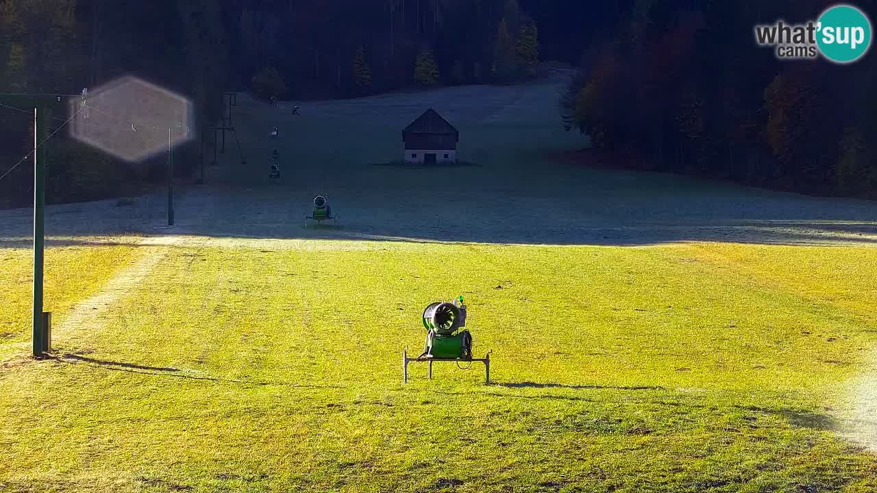 Ski Kranjska Gora | Velika Dolina