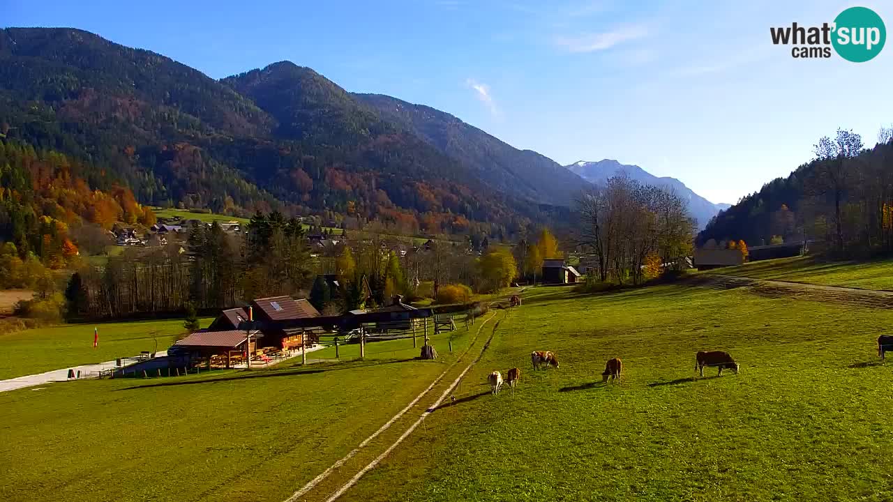 Ski Kranjska Gora | Velika Dolina