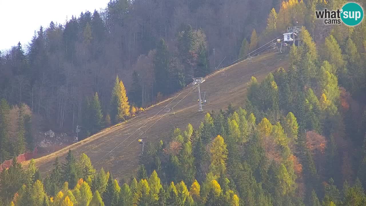 Skigebiet Kranjska Gora | Velika Dolina