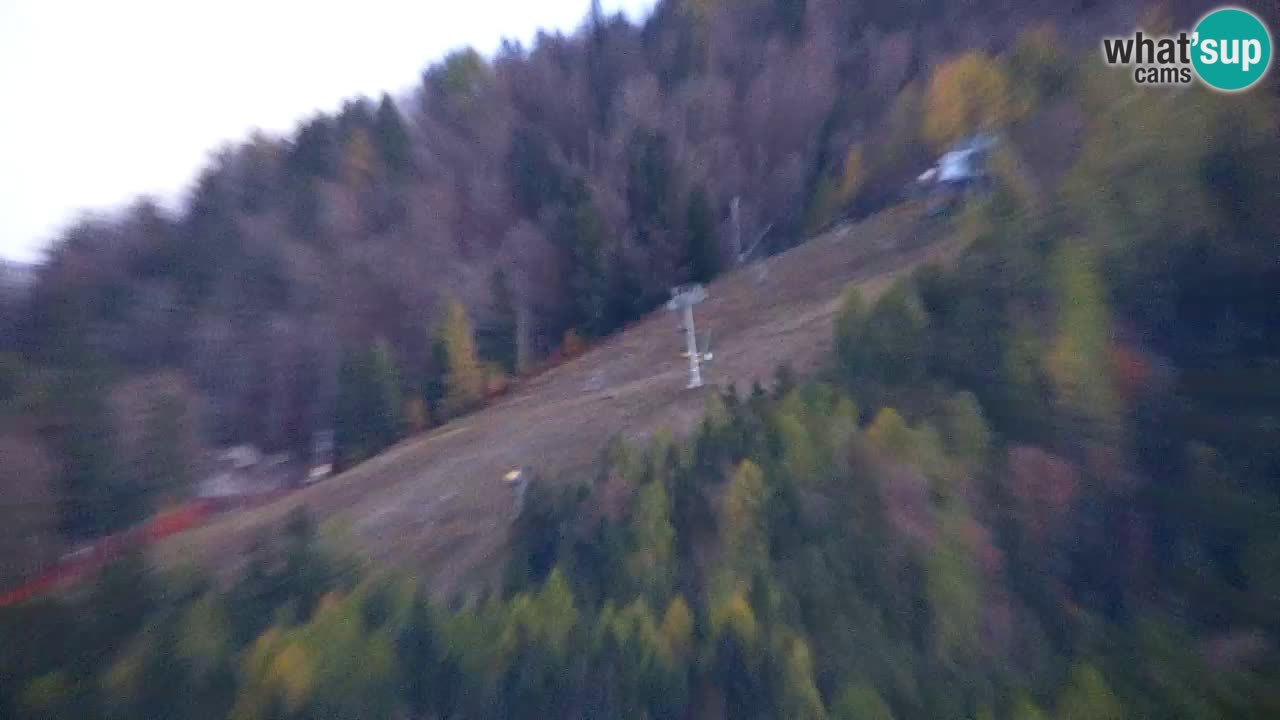 Ski Kranjska Gora | Velika Dolina