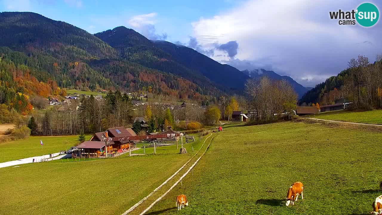 Skigebiet Kranjska Gora | Velika Dolina