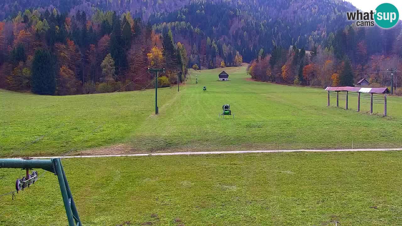 Ski Kranjska Gora | Velika Dolina