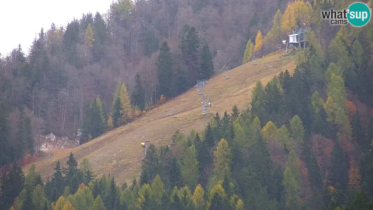 RTC Kranjska Gora | Velika Dolina
