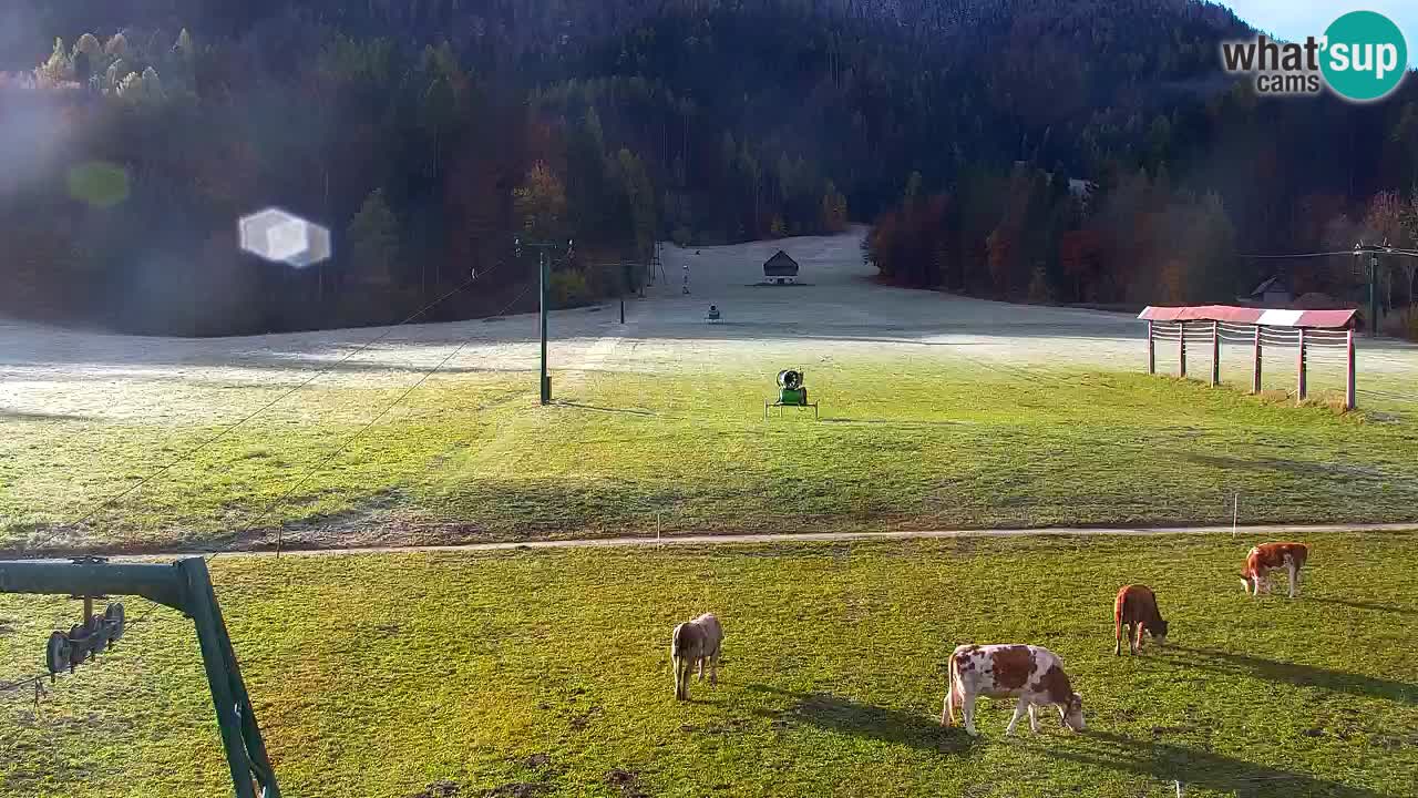 Kranjska Gora | Velika Dolina