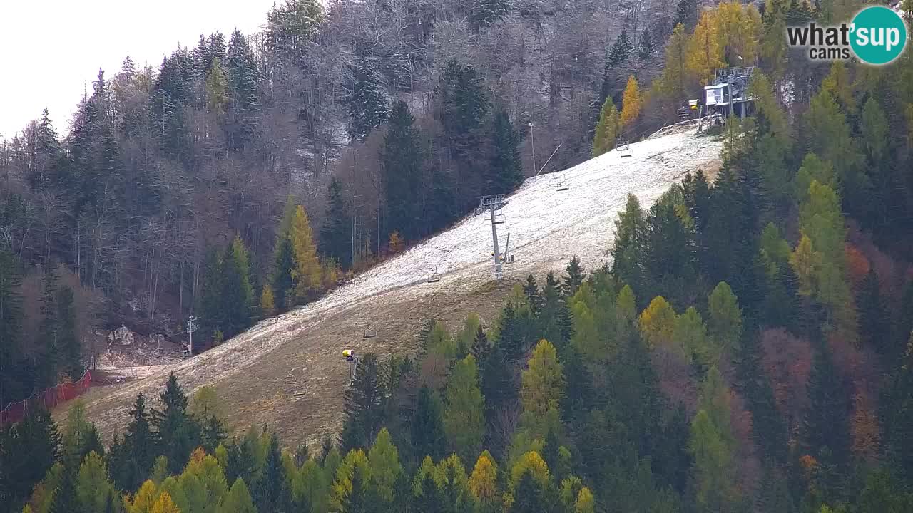 Skigebiet Kranjska Gora | Velika Dolina