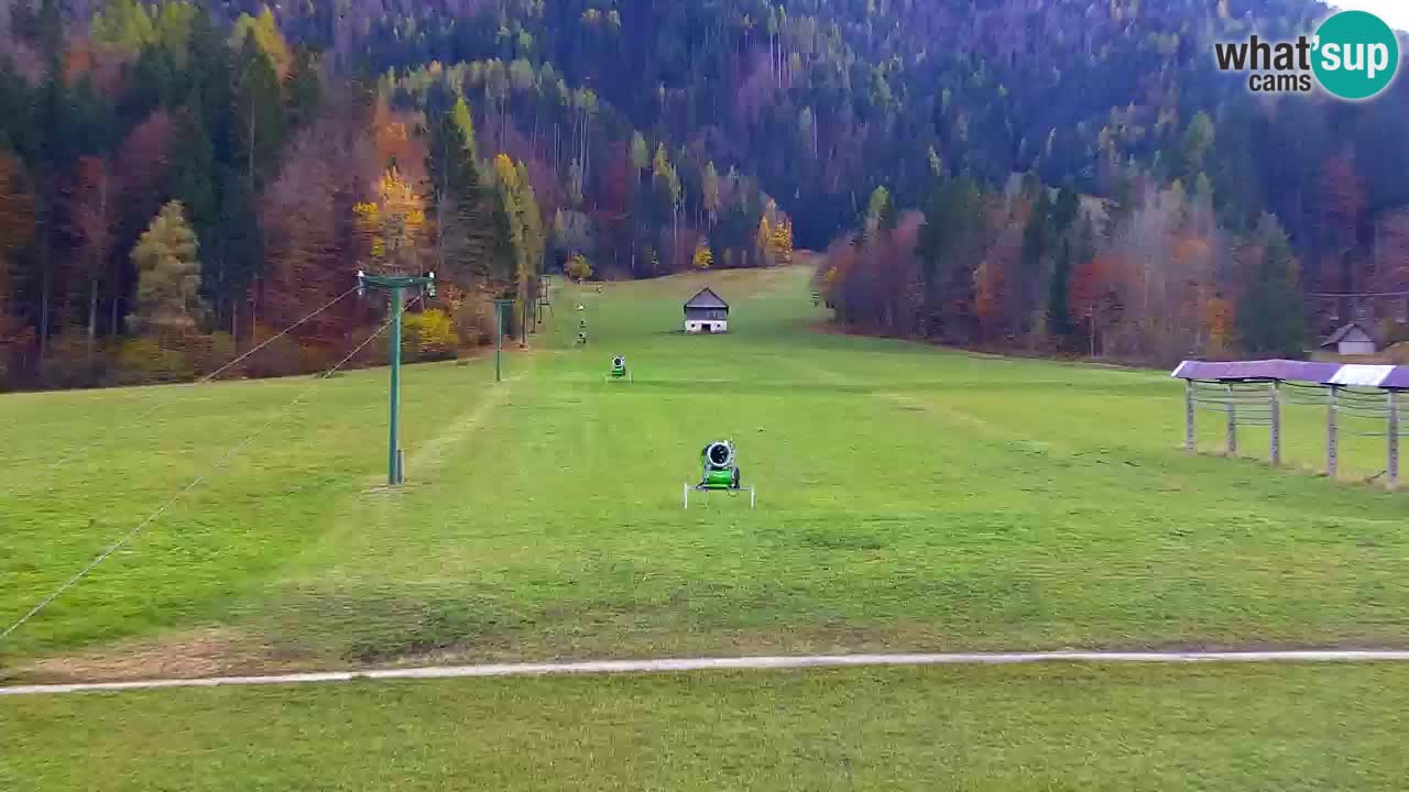 Ski Kranjska Gora | Velika Dolina