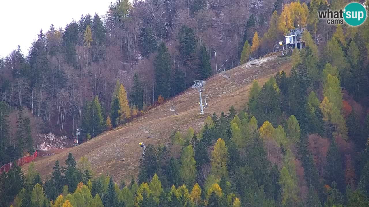 Skigebiet Kranjska Gora | Velika Dolina