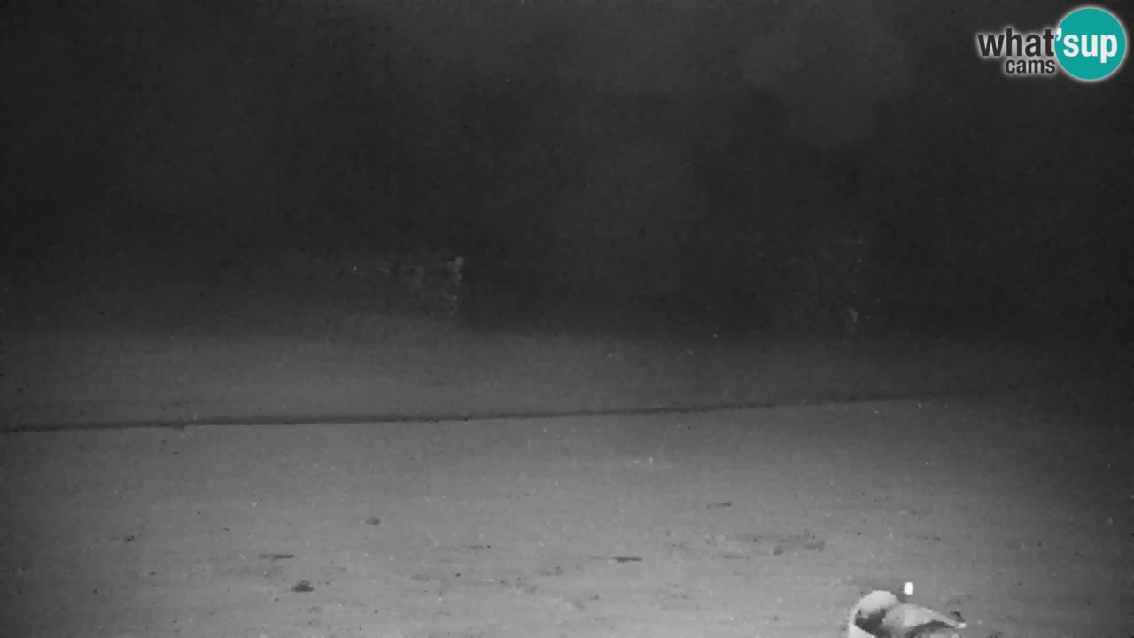 RTC Kranjska Gora | Velika Dolina