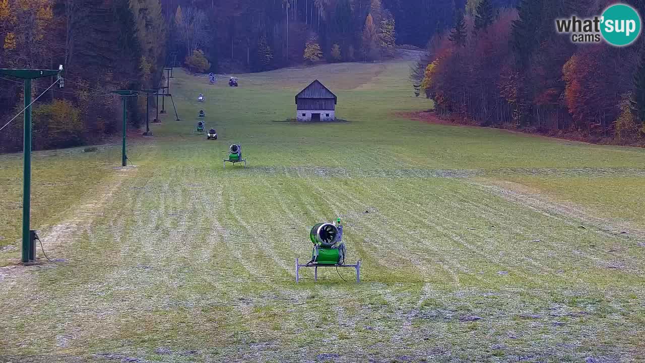 Ski Kranjska Gora | Velika Dolina