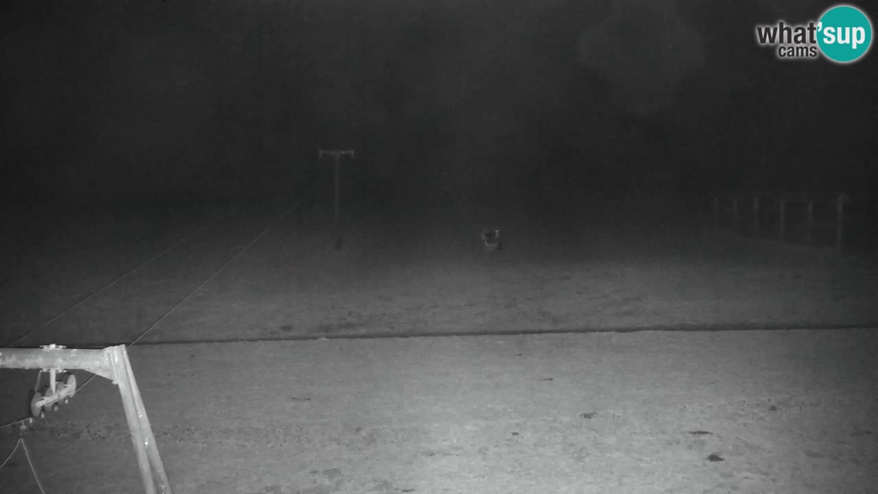 Kranjska Gora | Velika Dolina