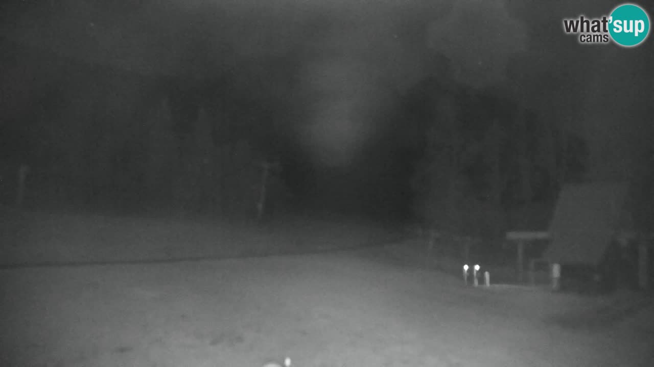 Ski Kranjska Gora | Velika Dolina