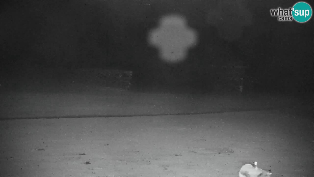 Skijanje Kranjska Gora | Velika Dolina