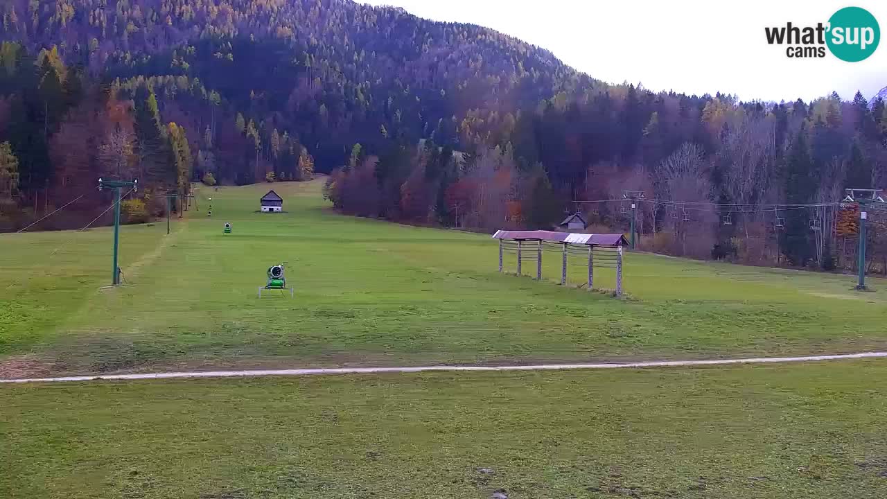 Skigebiet Kranjska Gora | Velika Dolina