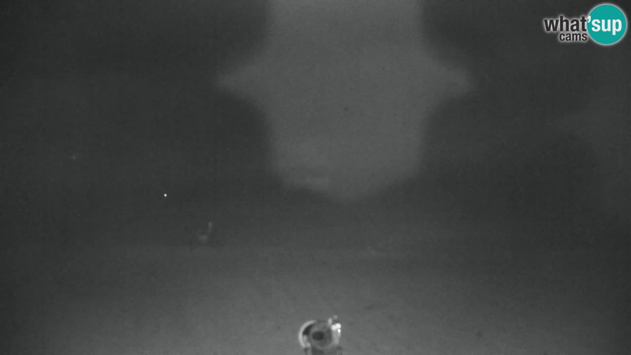 Skijanje Kranjska Gora | Velika Dolina