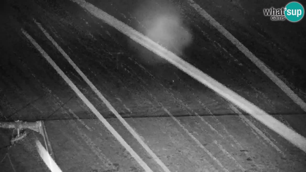 Estación de esquí Kranjska Gora | Velika Dolina