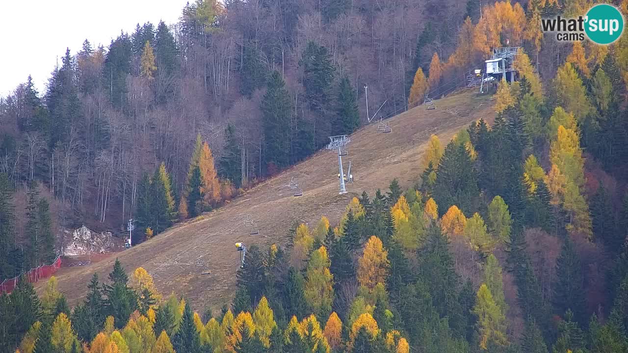 Skigebiet Kranjska Gora | Velika Dolina