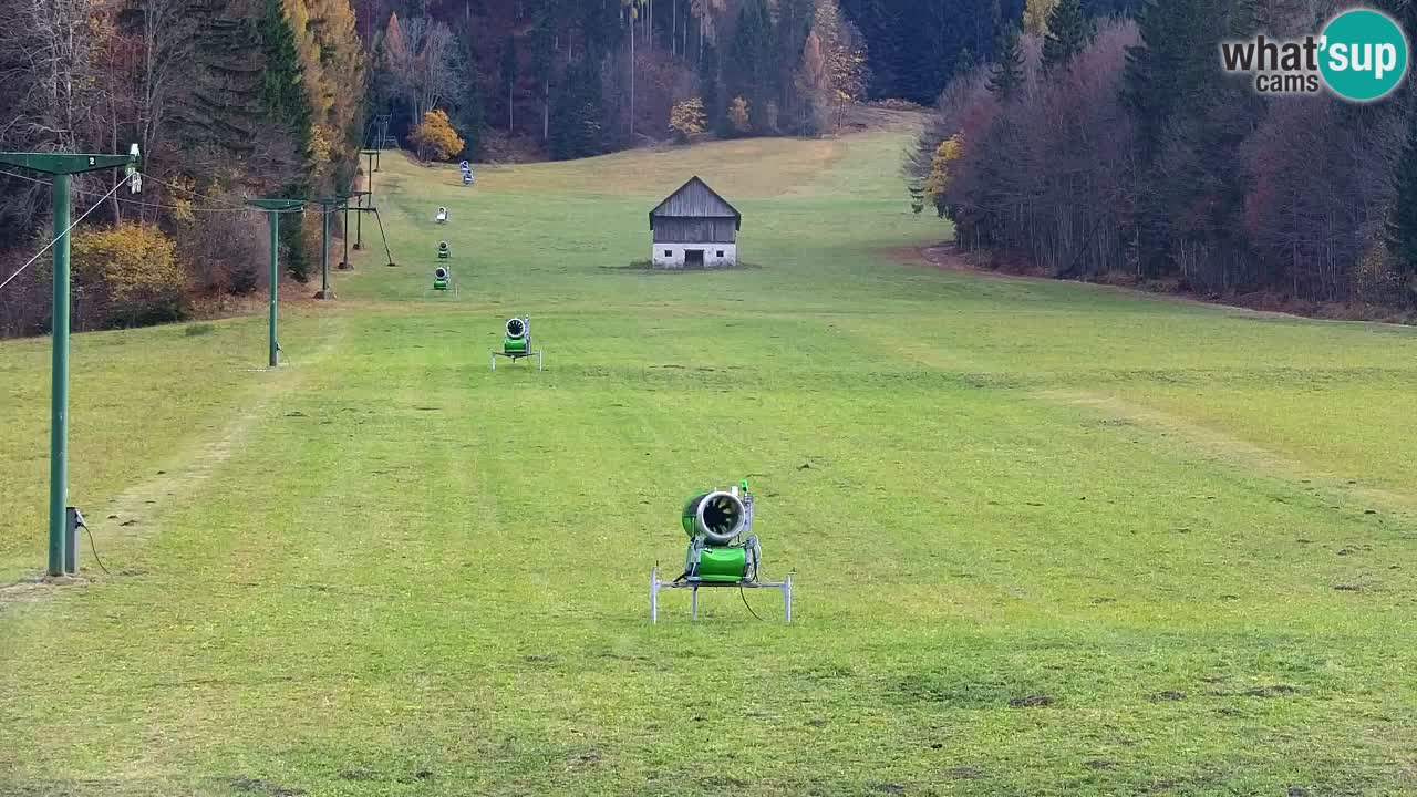 Skigebiet Kranjska Gora | Velika Dolina