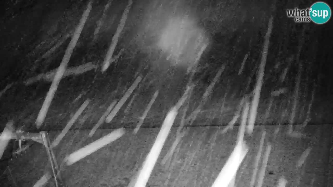 Kranjska Gora | Velika Dolina