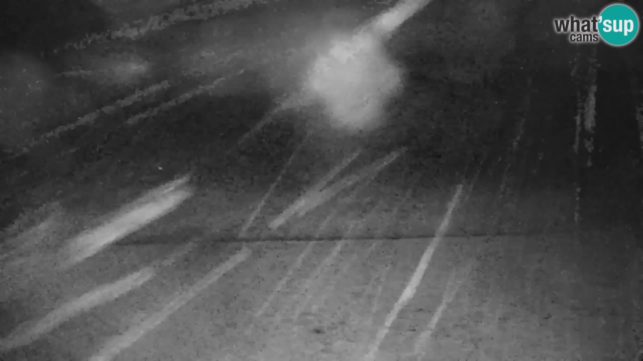 Ski Kranjska Gora | Velika Dolina