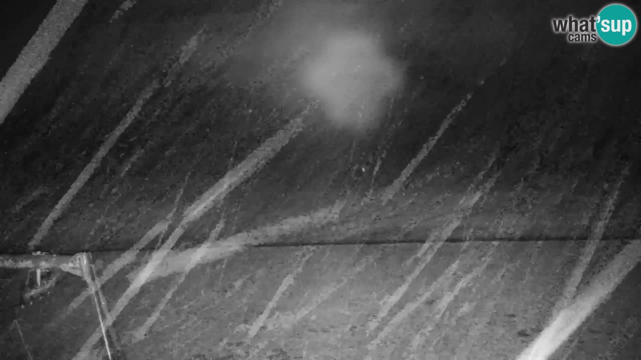 Estación de esquí Kranjska Gora | Velika Dolina