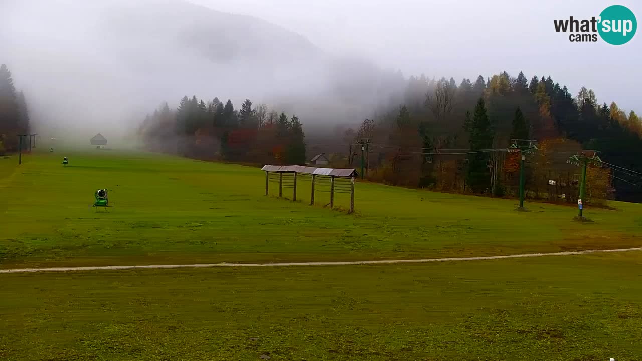 Ski Kranjska Gora | Velika Dolina