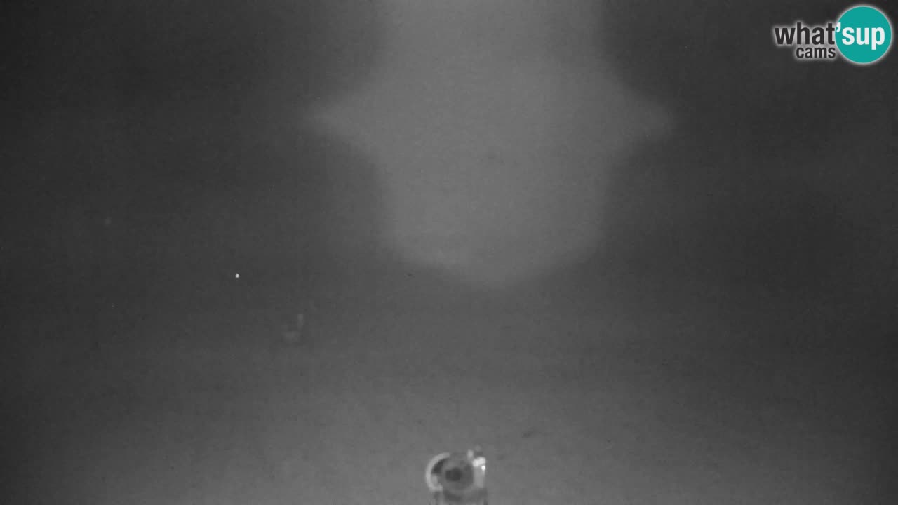 Skigebiet Kranjska Gora | Velika Dolina