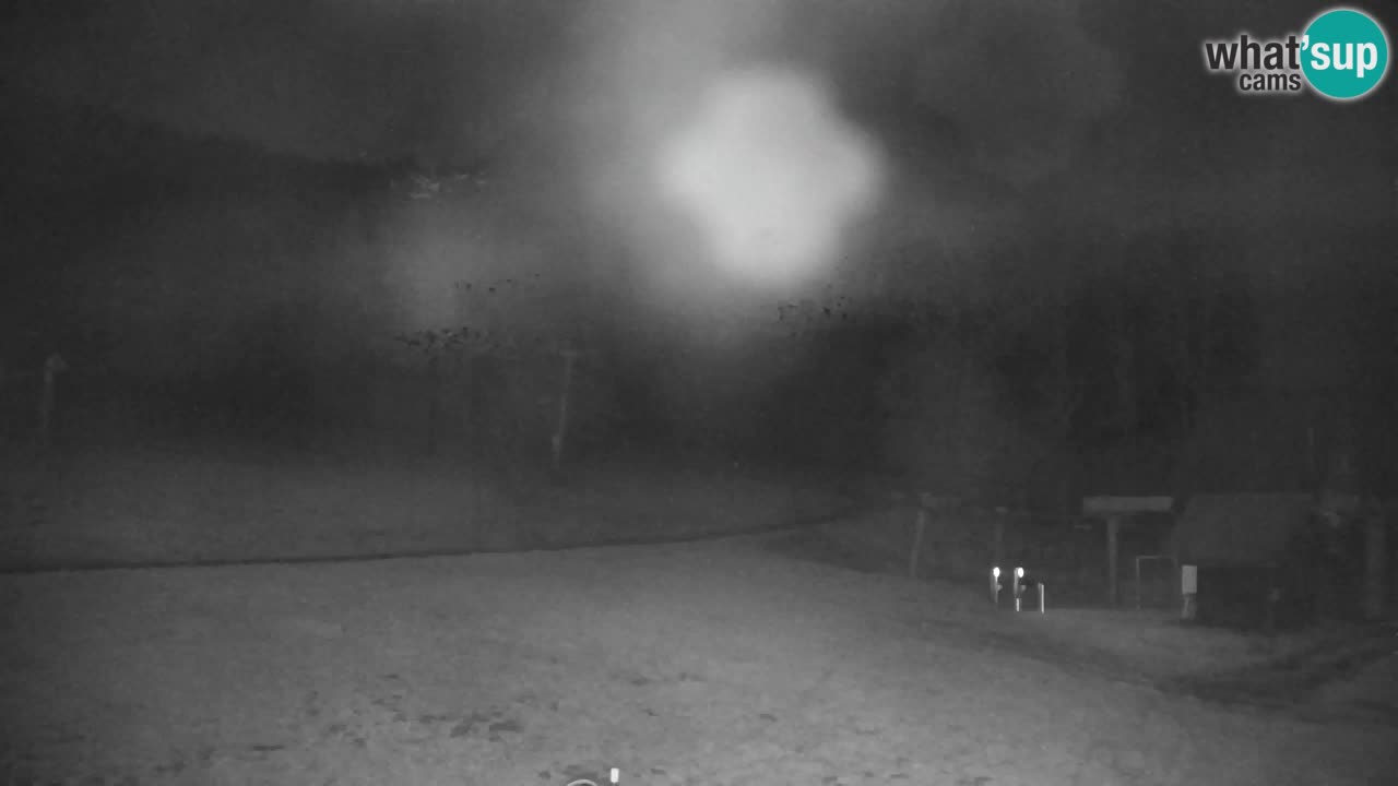 Estación de esquí Kranjska Gora | Velika Dolina