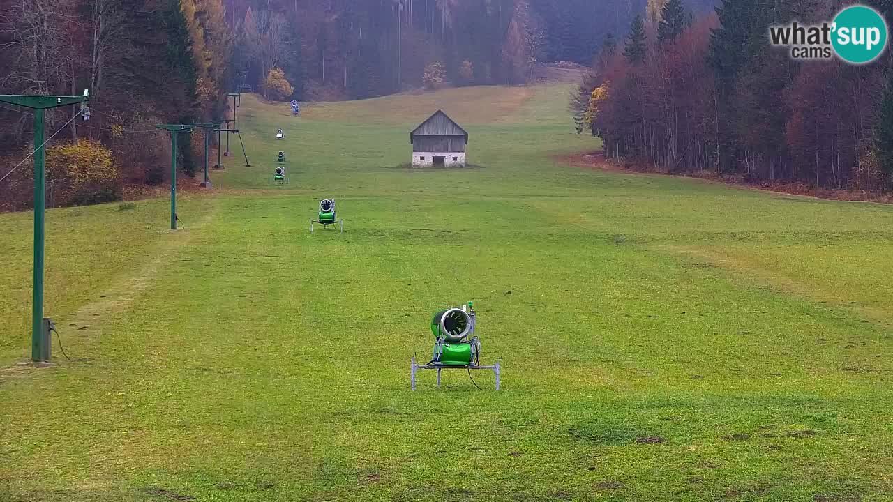 Ski Kranjska Gora | Velika Dolina