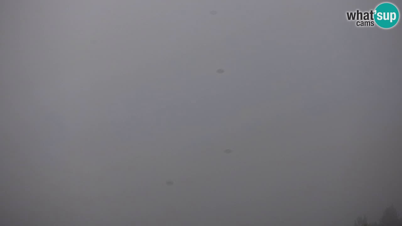 Estación de esquí Kranjska Gora | Velika Dolina