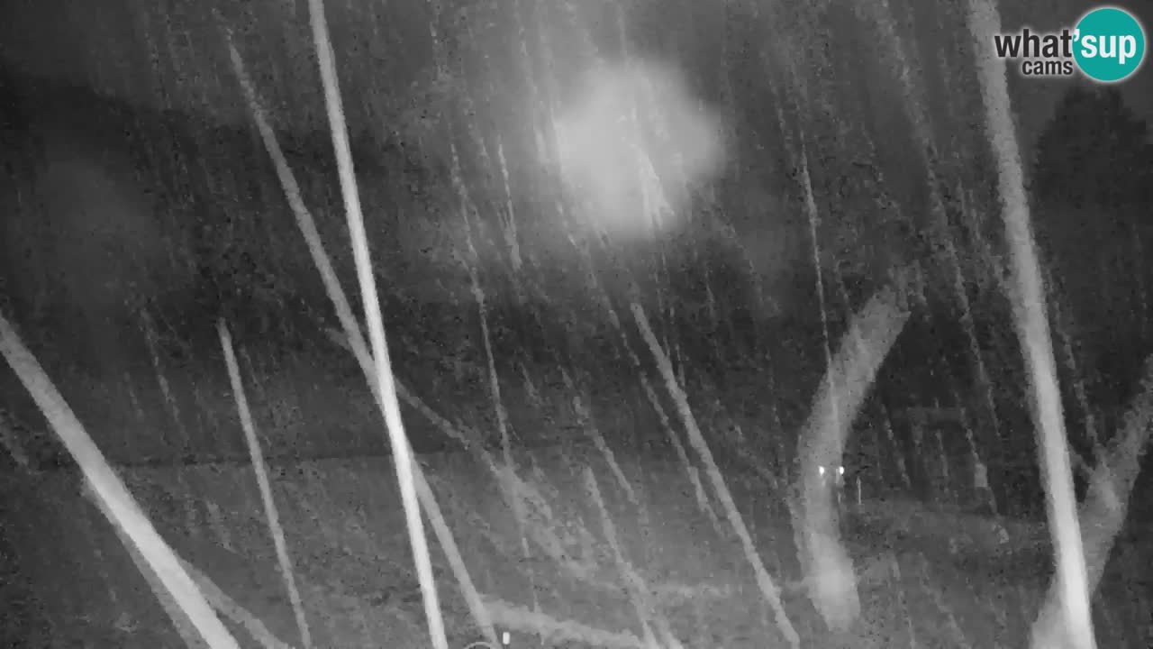 Station de ski Kranjska Gora | Velika Dolina