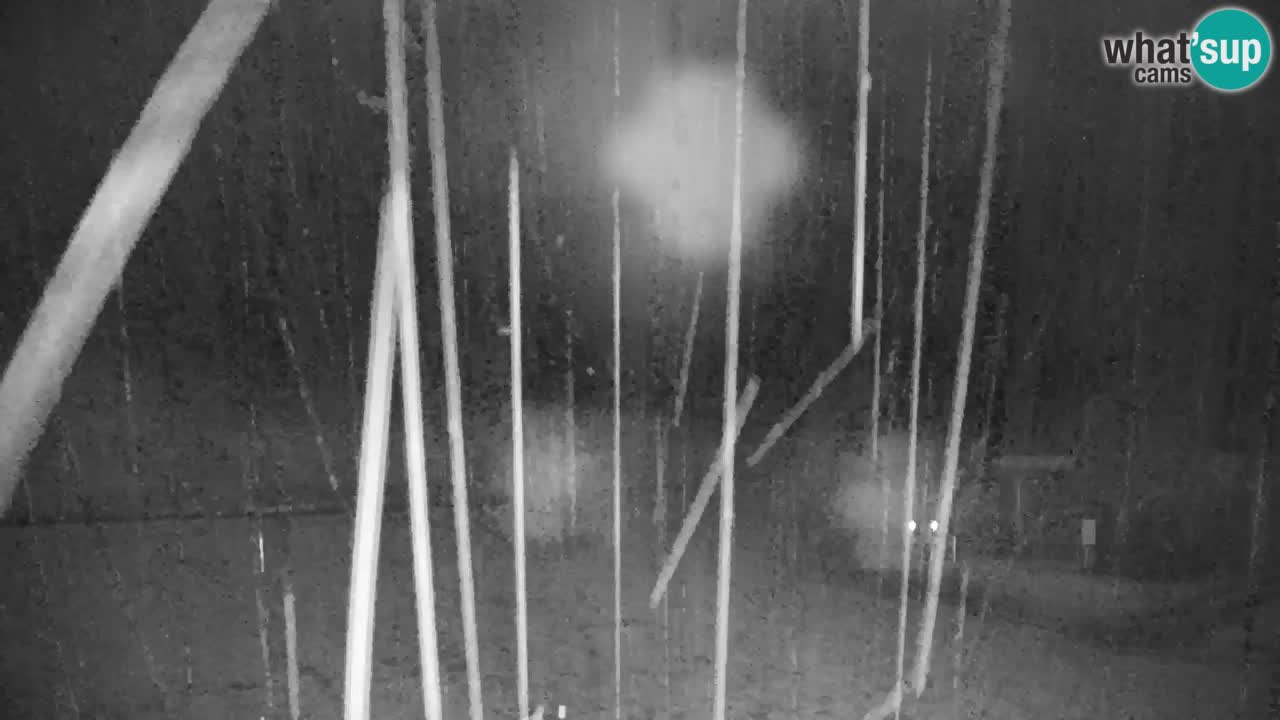 Skijanje Kranjska Gora | Velika Dolina